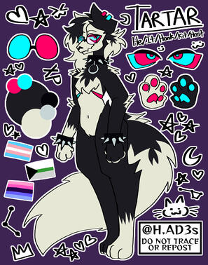 Anthro reference sheet.
